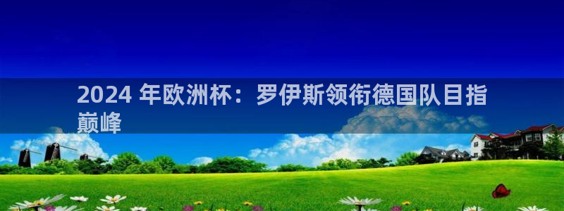 欧洲杯下单平台官网网址：2024 年欧洲杯：罗伊斯领衔德国队目指
巅峰