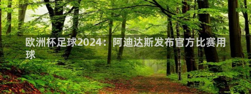 2024欧洲杯买球推荐|欧洲杯足球2024：阿迪达斯发布官方比赛用
球