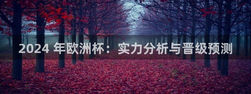 欧洲杯线上买球