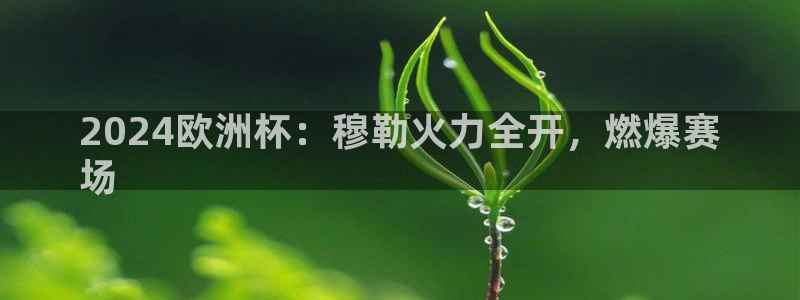 2024欧洲杯：穆勒火力全开，燃爆赛
场